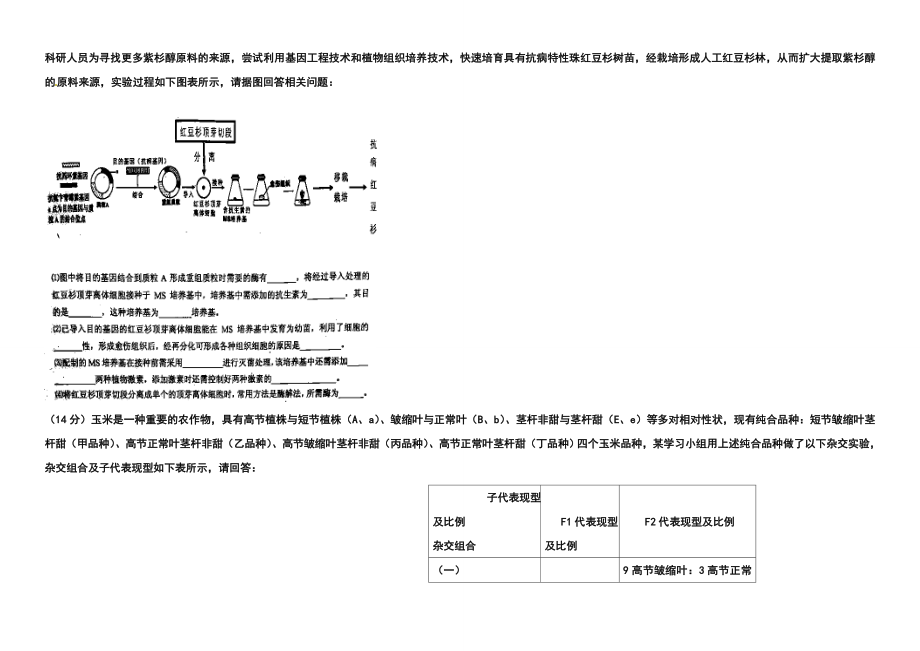 四川省新津中学高三4月月考生物试题及答案.doc_第3页