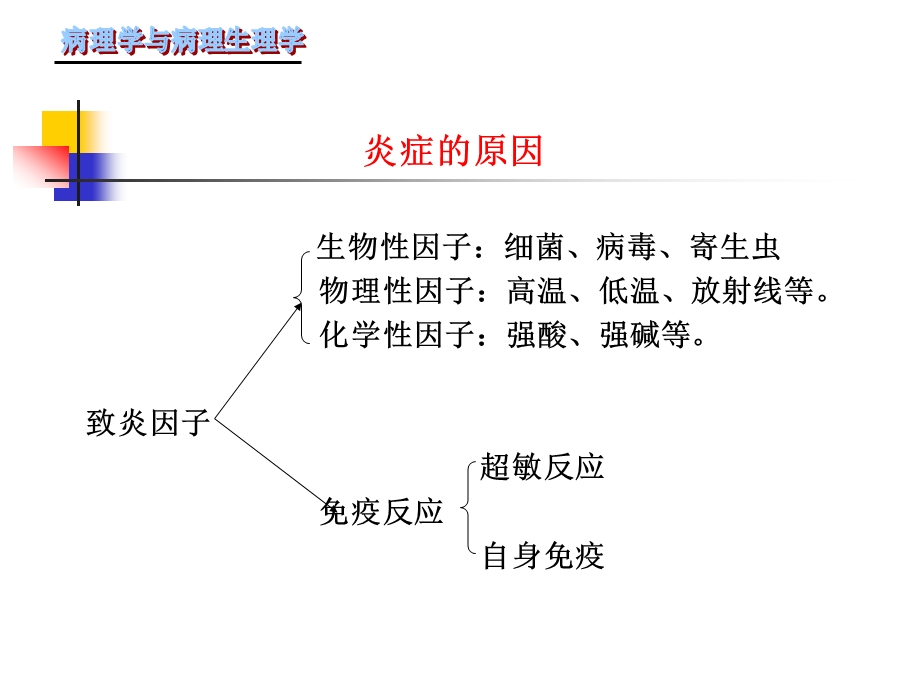 第三章-炎症-课件.ppt_第3页