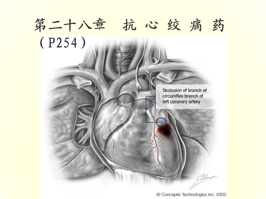 第二十四章抗心绞痛药课件.ppt_第1页