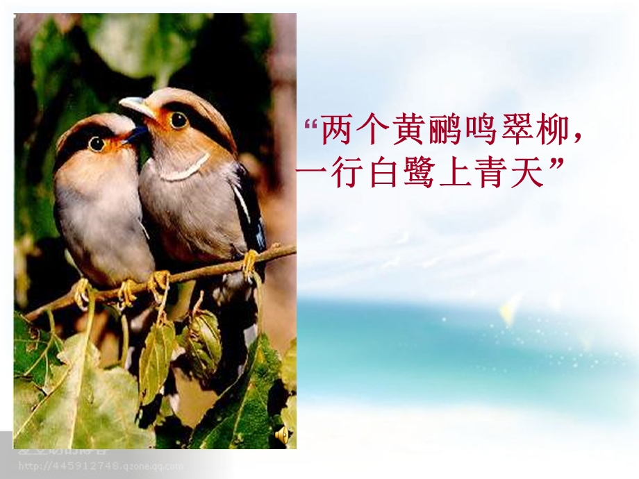 第三章_动物在生物圈中作用课件.ppt_第2页