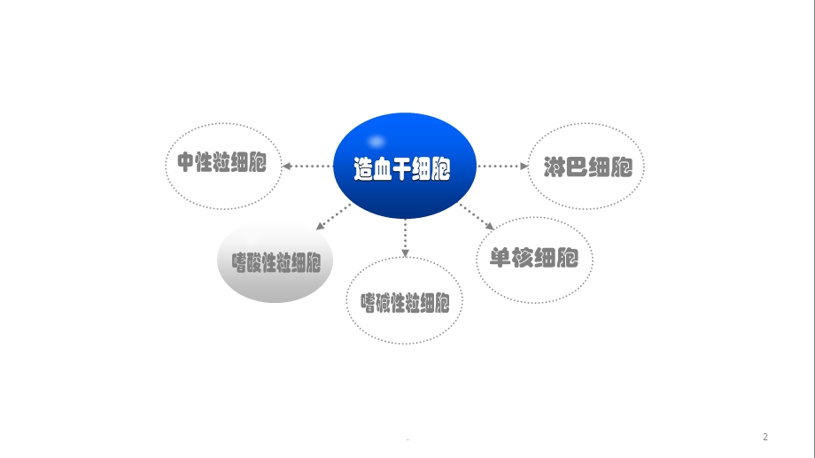 白细胞吸附器培训课件.ppt_第2页