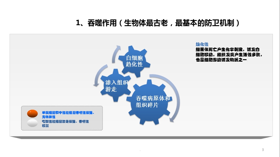 白细胞吸附器培训课件.ppt_第3页