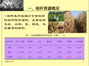 秸秆工业化利用课件.ppt