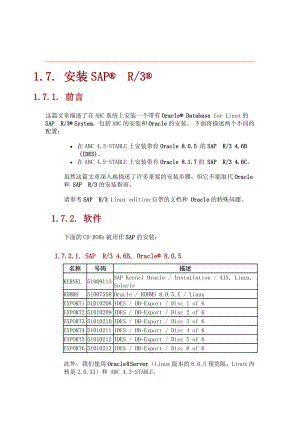 sap+安装手册.doc