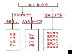 第四章-群体心理与群体行为-课件.ppt