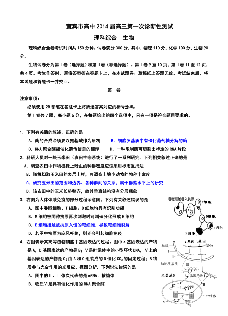 四川省宜宾市高三第一次诊断性（12月）生物试题及答案.doc_第1页