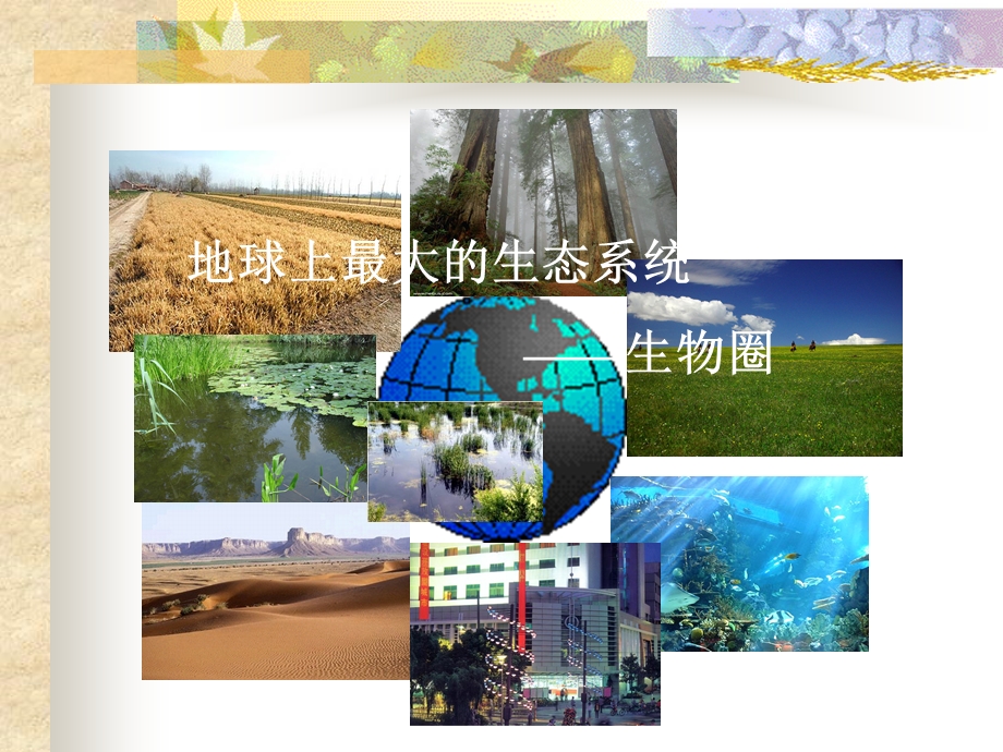 生物生存的家园——生物圈-课件苏科版.ppt_第3页