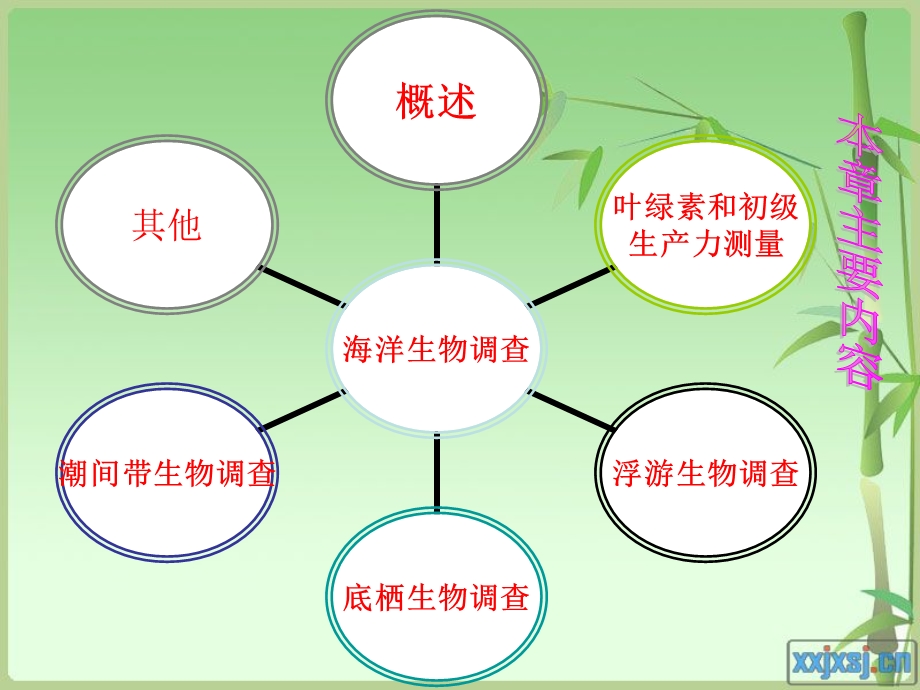 海洋生物调查动态信息课件.ppt_第3页