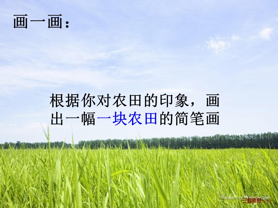 生物与环境组成生态系统课件.ppt_第1页