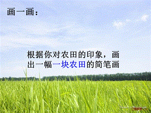 生物与环境组成生态系统课件.ppt