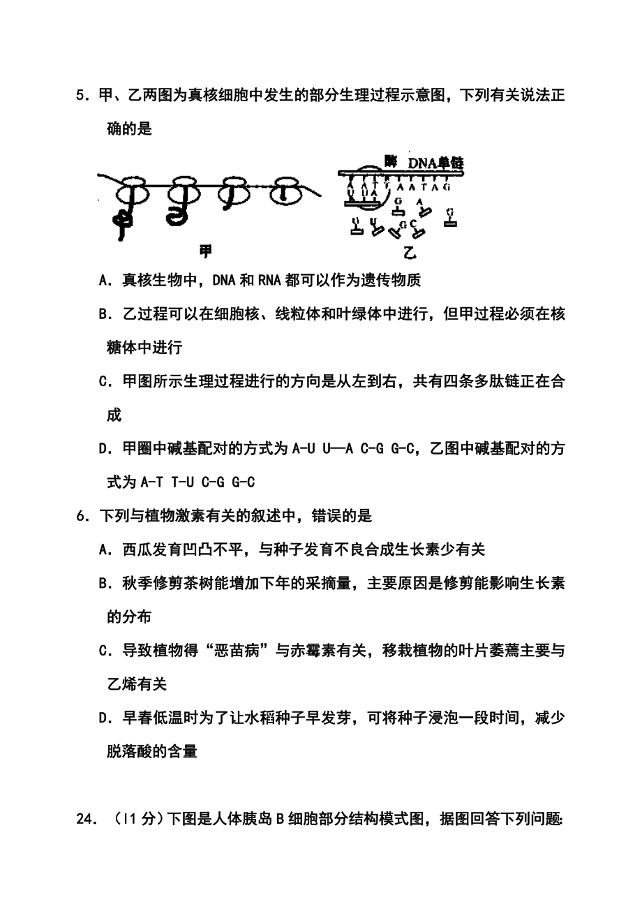 山东省枣庄市高三3月调研考试生物试题及答案.doc_第3页