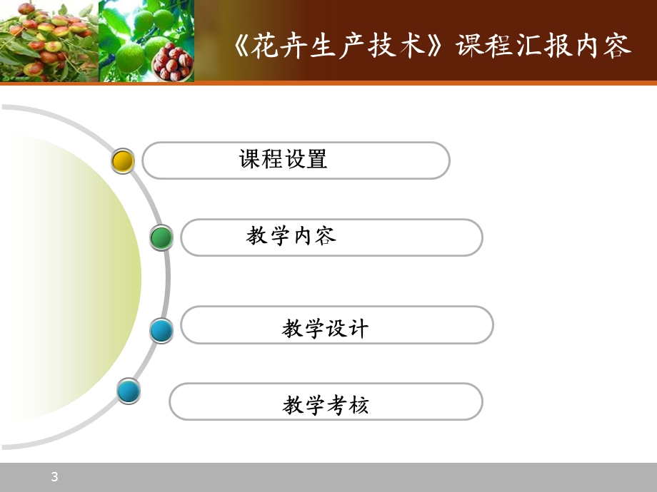 花卉栽培说课ppt课件最终版.ppt_第3页