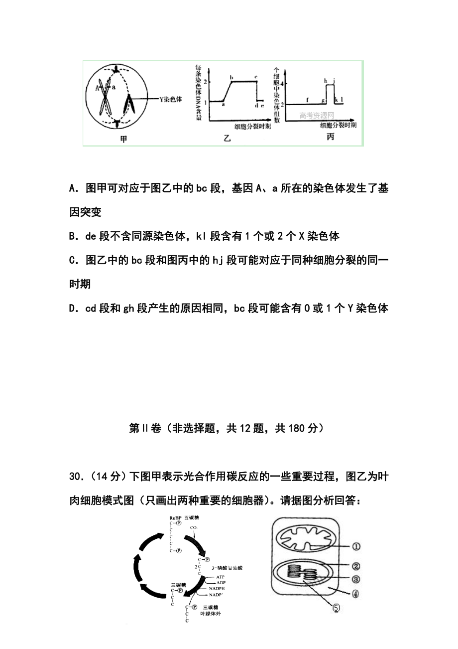 浙江省温州中学高三3月月考生物试题及答案.doc_第3页