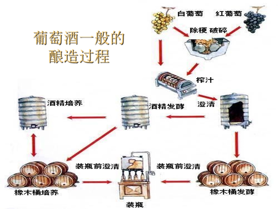 红酒礼仪ppt课件.ppt_第3页