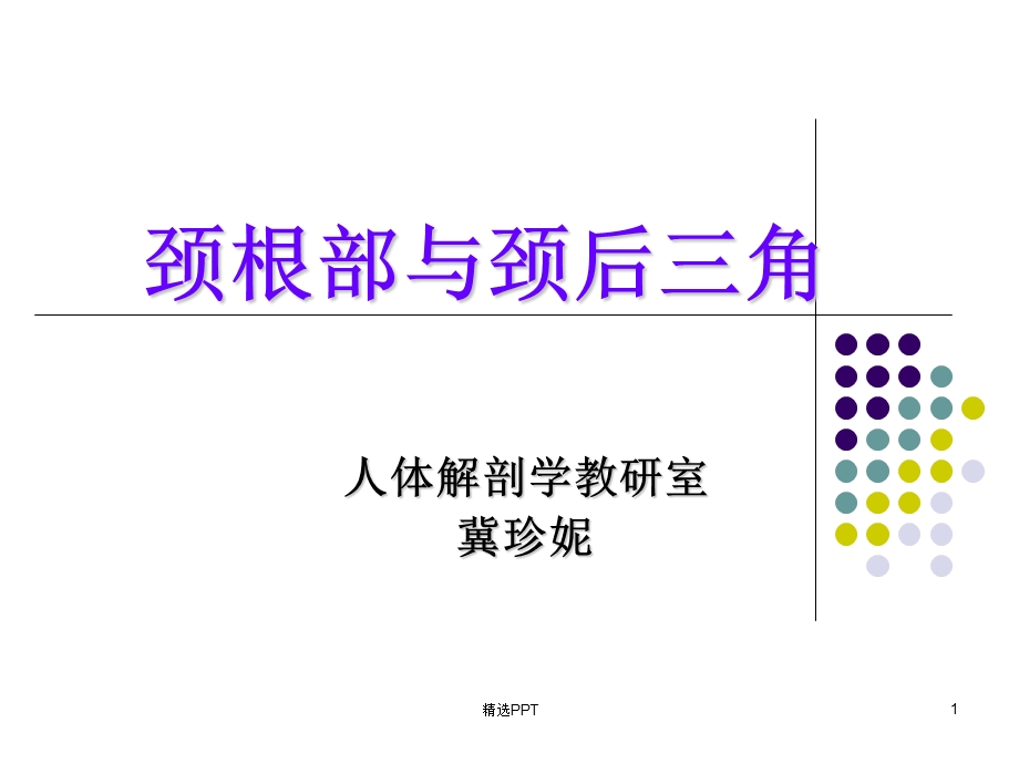 解剖ppt课件之颈根与颈后三角.ppt_第1页