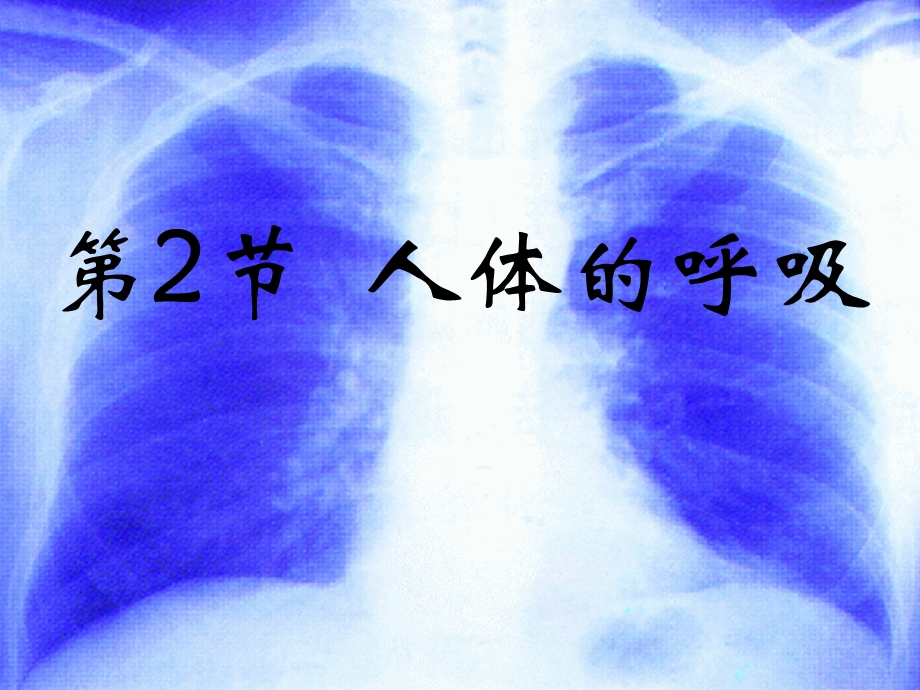 第2节人体的呼吸课件.ppt_第1页