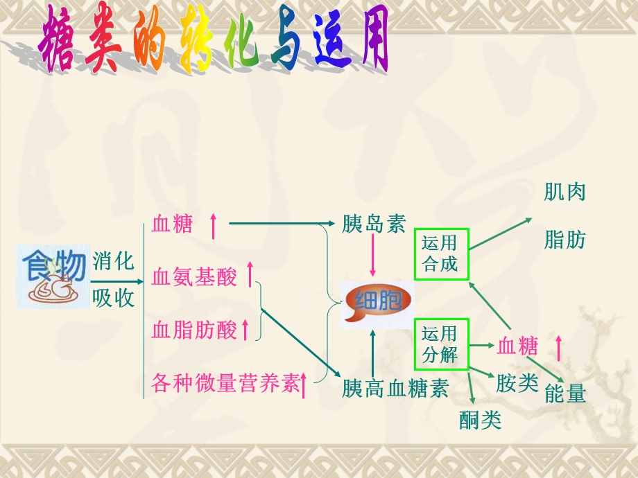 血糖与营养-课件.ppt_第2页