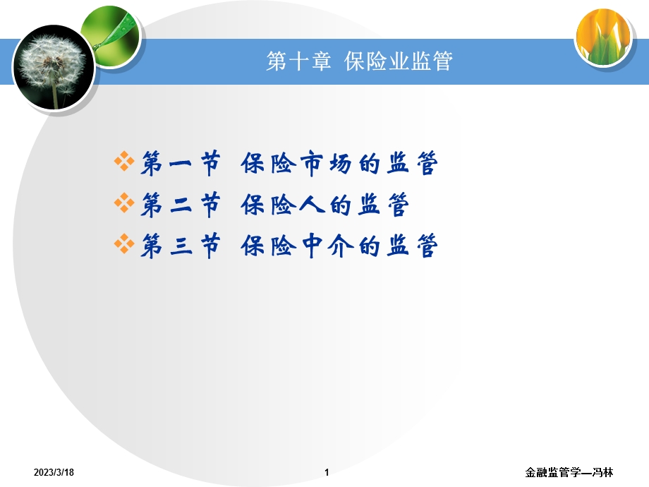 金融监管第十章保险业监管课件.ppt_第1页