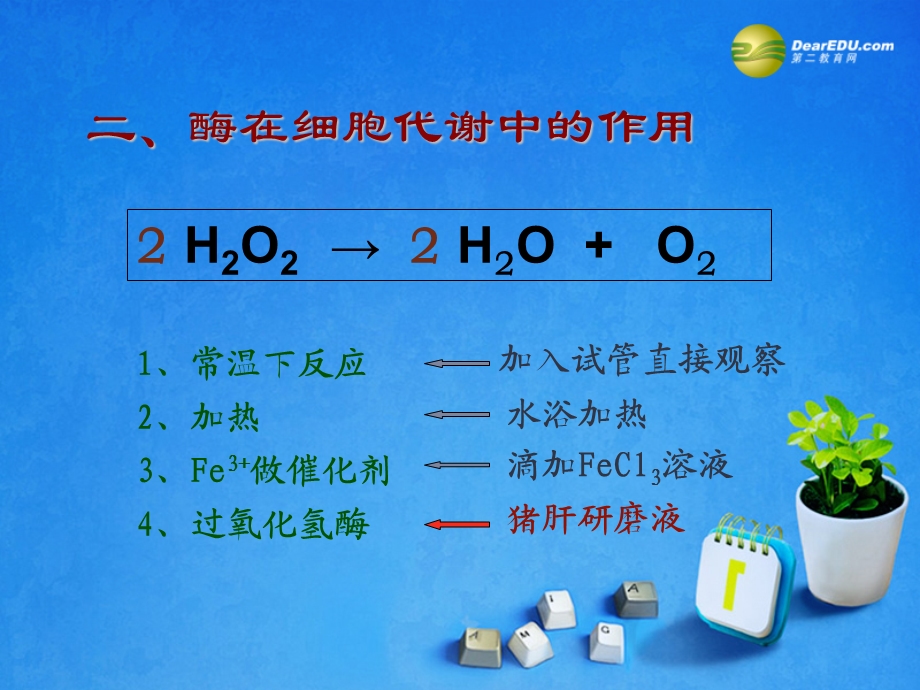 细胞的能量供应和利用课件.ppt_第3页