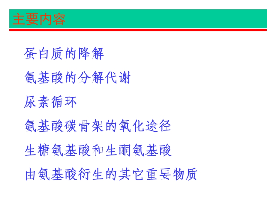 第30章蛋白质和氨基酸的降解课件.ppt_第2页