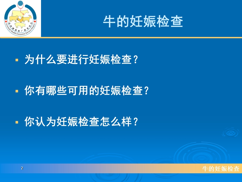 牛的妊娠检查课件.ppt_第2页