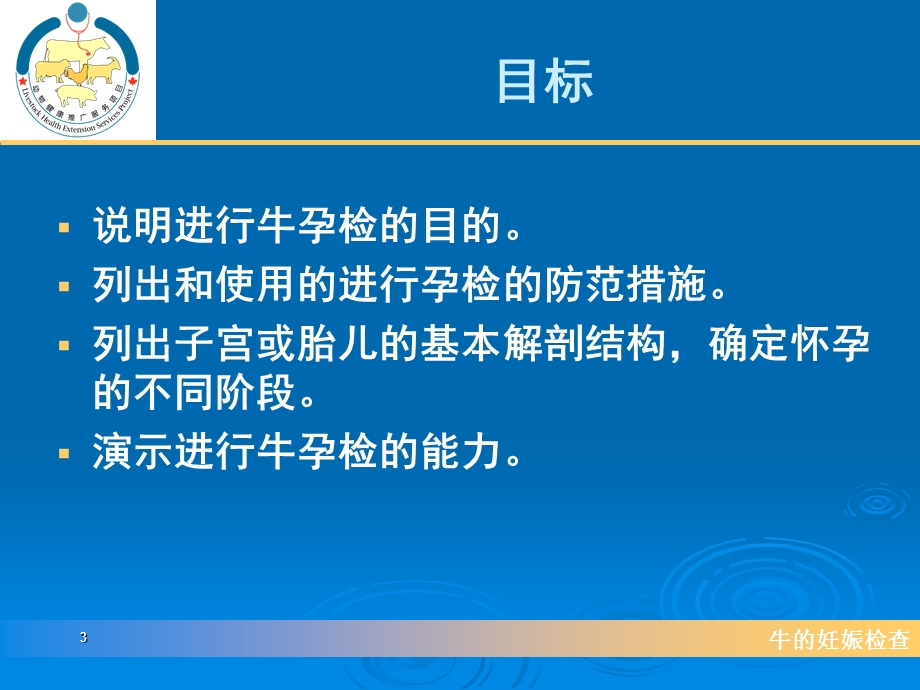 牛的妊娠检查课件.ppt_第3页