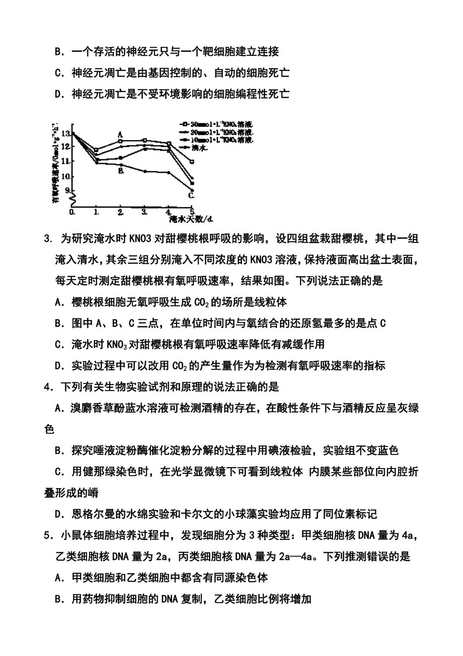 山东省文登市高三第二次统考生物试题及答案.doc_第2页