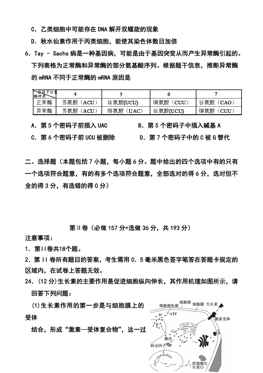 山东省文登市高三第二次统考生物试题及答案.doc_第3页