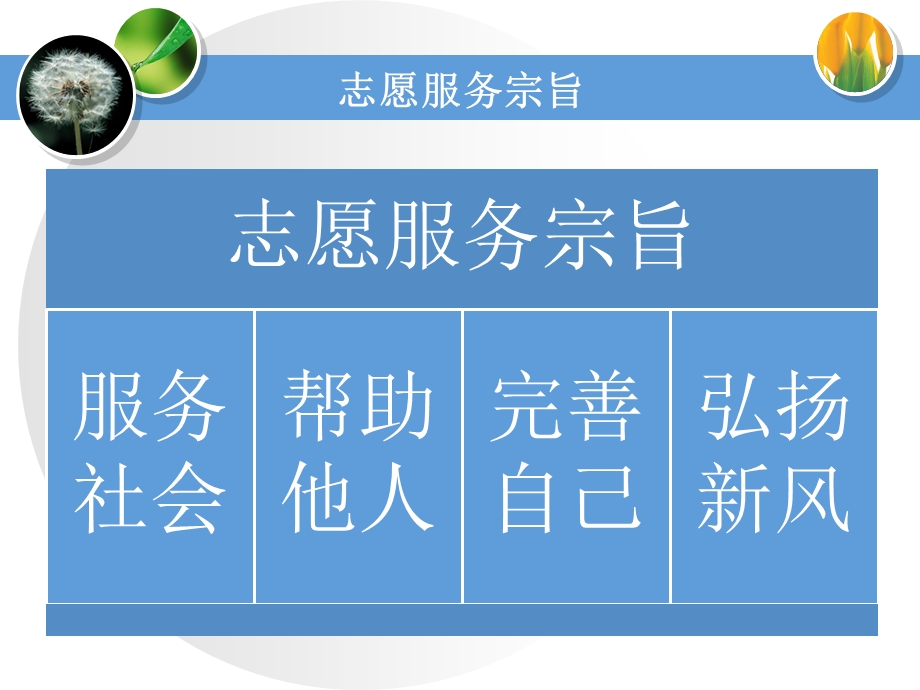 青年志愿者培训课件.ppt_第2页