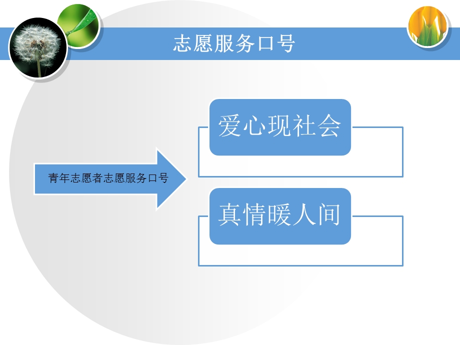 青年志愿者培训课件.ppt_第3页