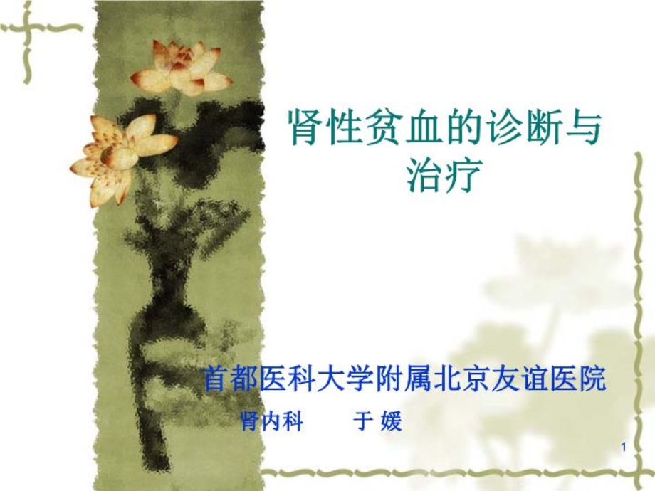 肾性贫血的诊断与治疗课件.ppt_第2页