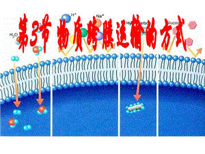 物质跨膜运输的方式人教课标版课件.ppt