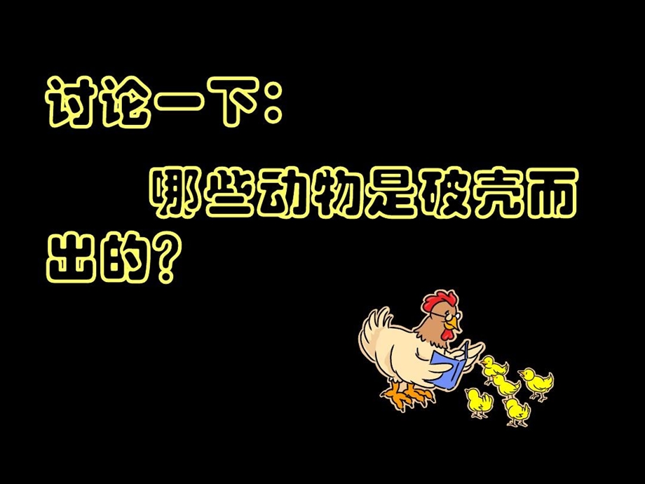 美术小鸡出壳了课件.ppt_第3页