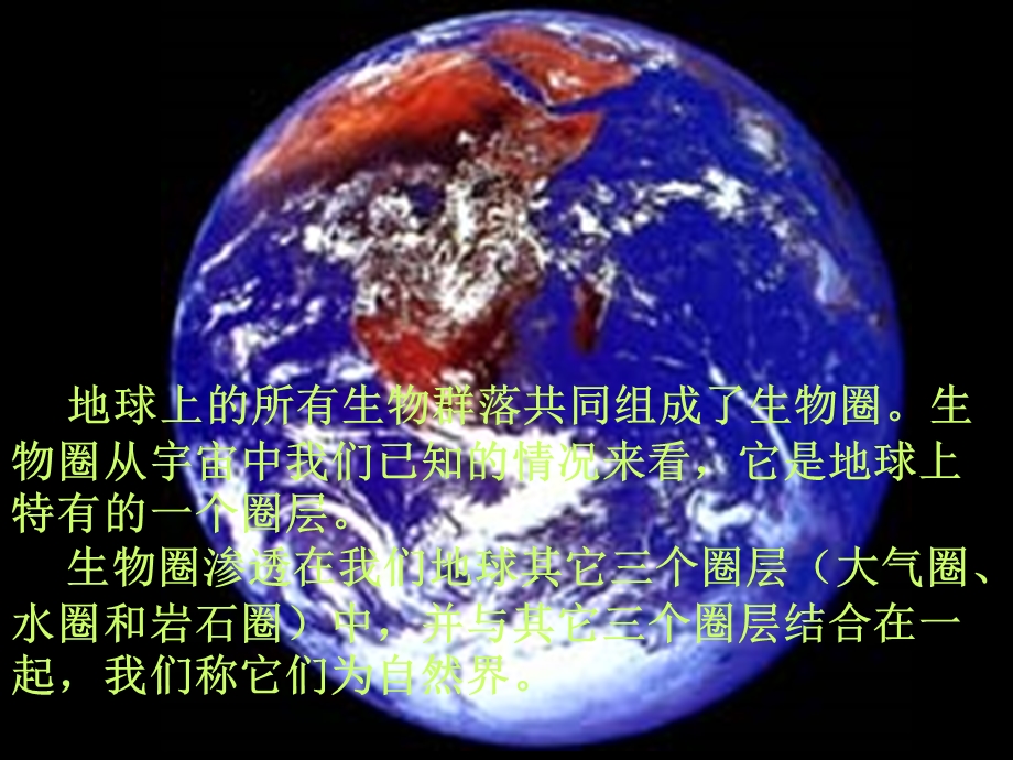 第二十三章动物地理分布课件.ppt_第2页