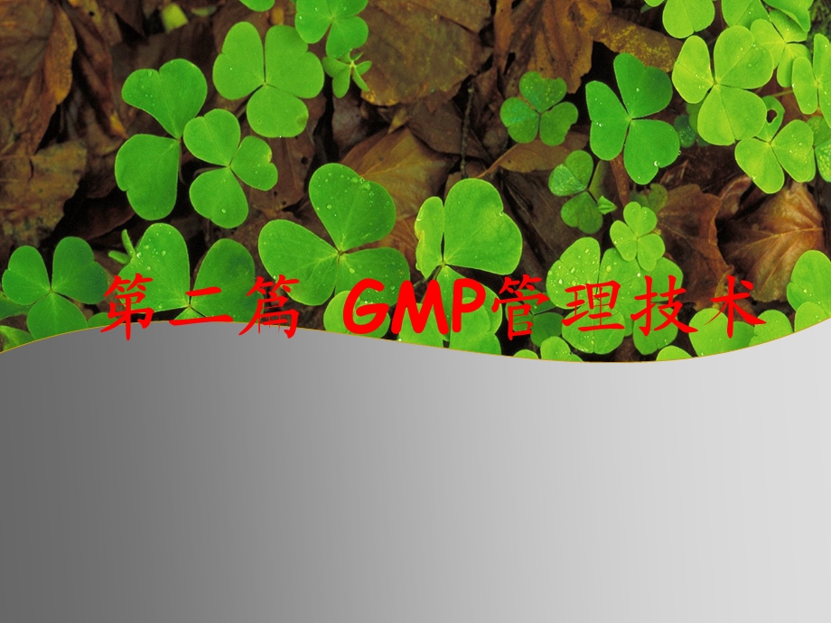 第二篇GMP管理技术-组织机构与人员-课件.ppt_第1页