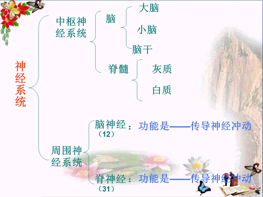 苏教版生物七年级下册12.2《人体的神经调节》课件.pptx_第2页