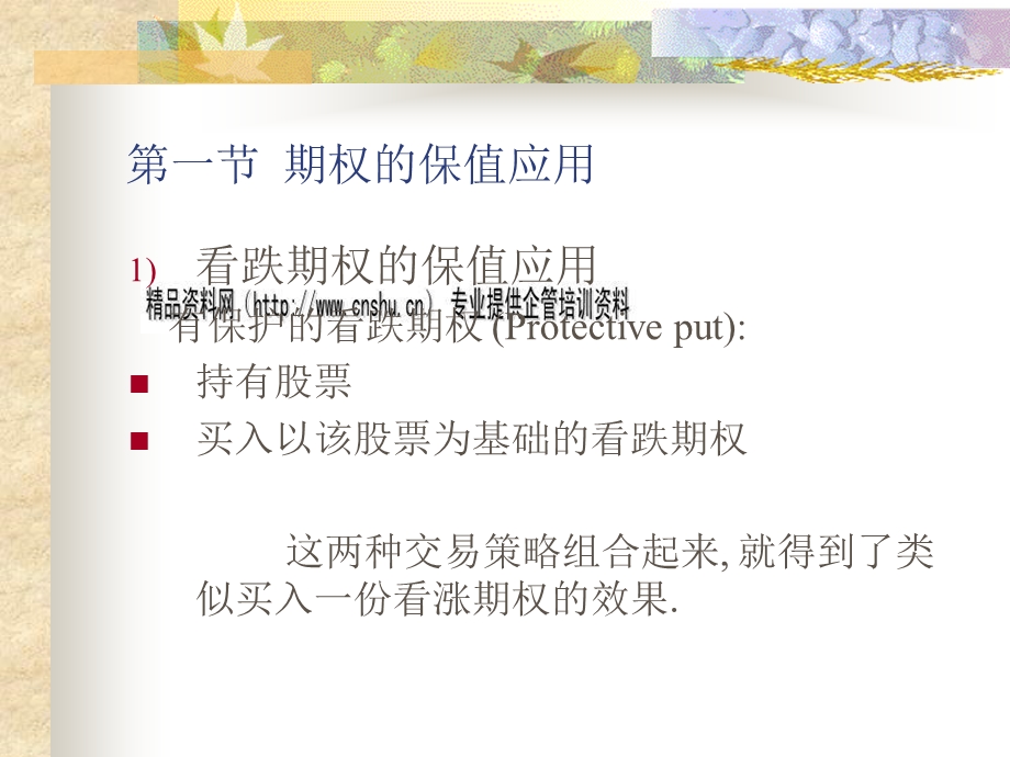 金融工程ppt课件之期权的基本应用.ppt_第3页