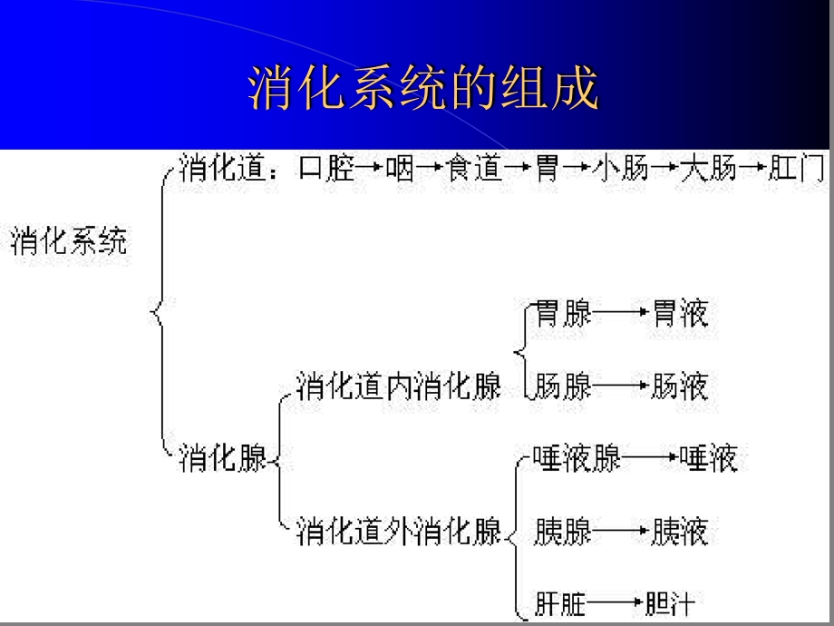 第五讲消化系统肿瘤-癌症发生的原因及预防课件.ppt_第2页