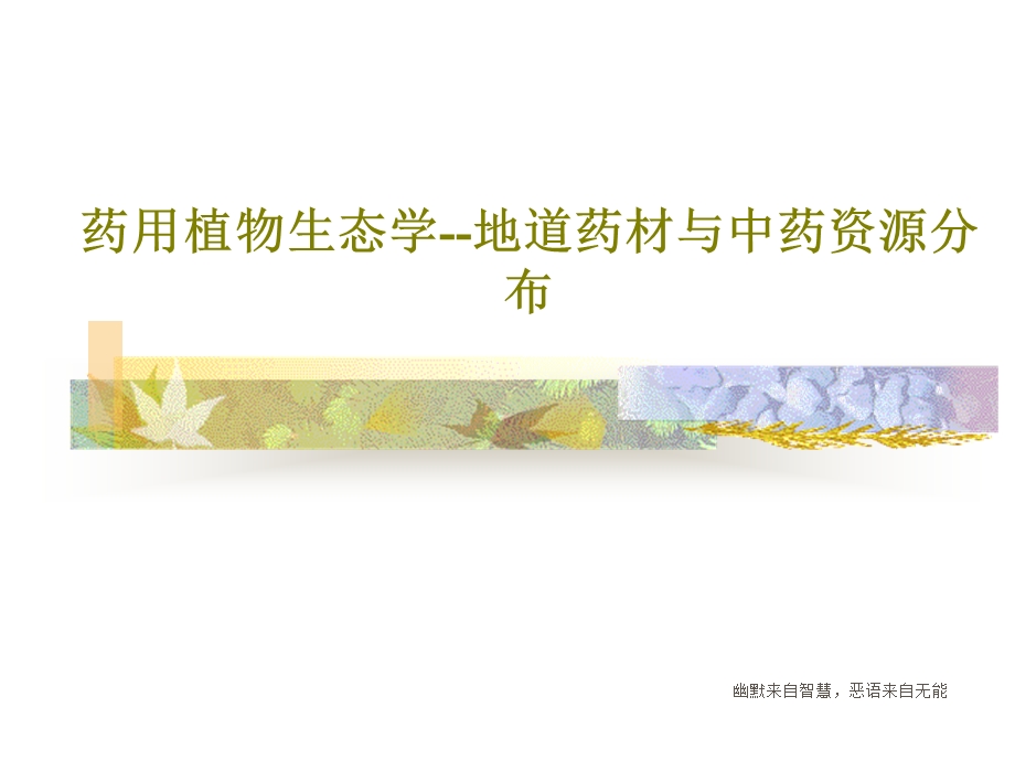 药用植物生态学地道药材与中药资源分布课件.ppt_第1页