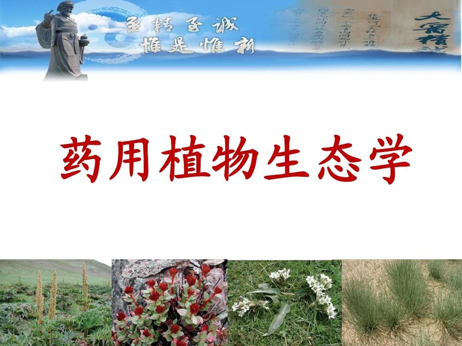 药用植物生态学地道药材与中药资源分布课件.ppt_第2页