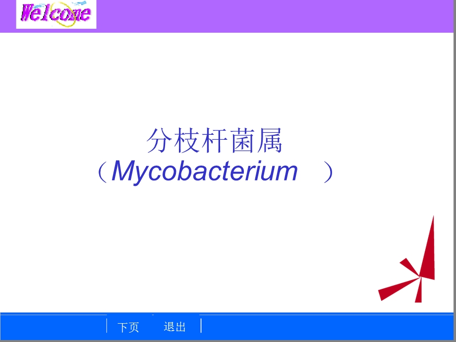 细菌学检验1分枝杆菌属课件.ppt_第1页