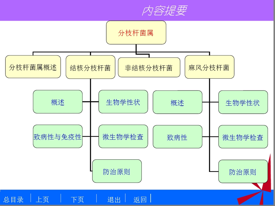 细菌学检验1分枝杆菌属课件.ppt_第2页