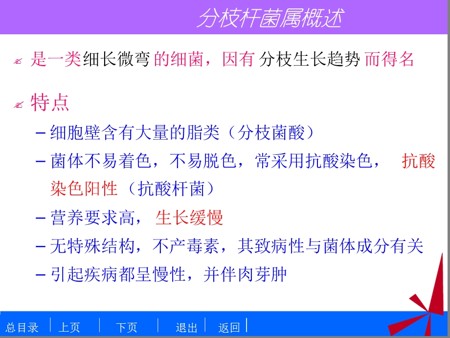 细菌学检验1分枝杆菌属课件.ppt_第3页