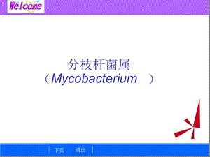 细菌学检验1分枝杆菌属课件.ppt