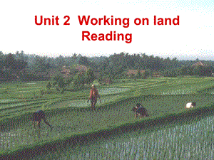 英语：Unit2-Readingppt课件.ppt