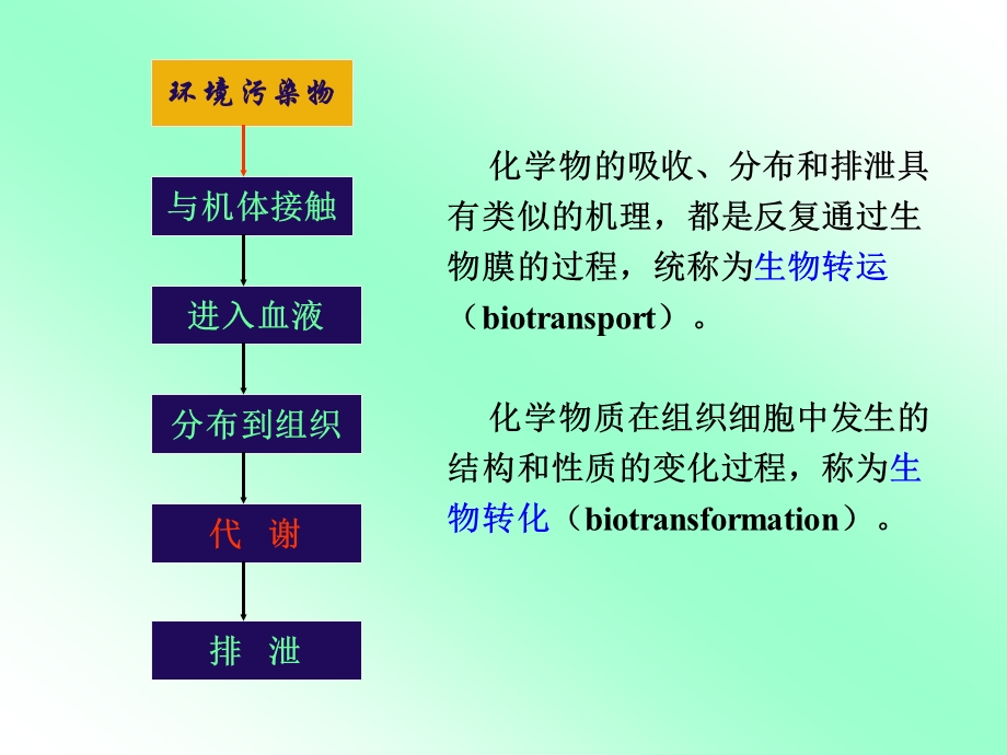 环境化学物的生物转运和生物转化课件.ppt_第2页