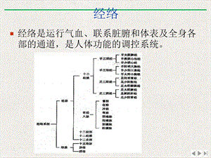 经络与穴位定位及作用ppt课件.pptx