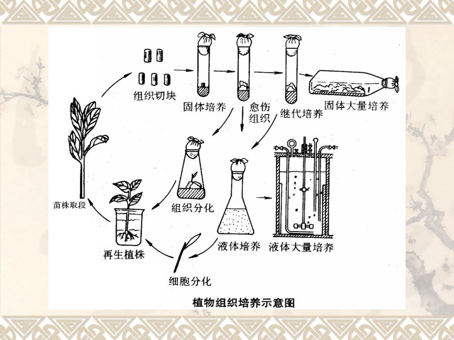 第二章-培养基及其配制学时课件.ppt_第2页