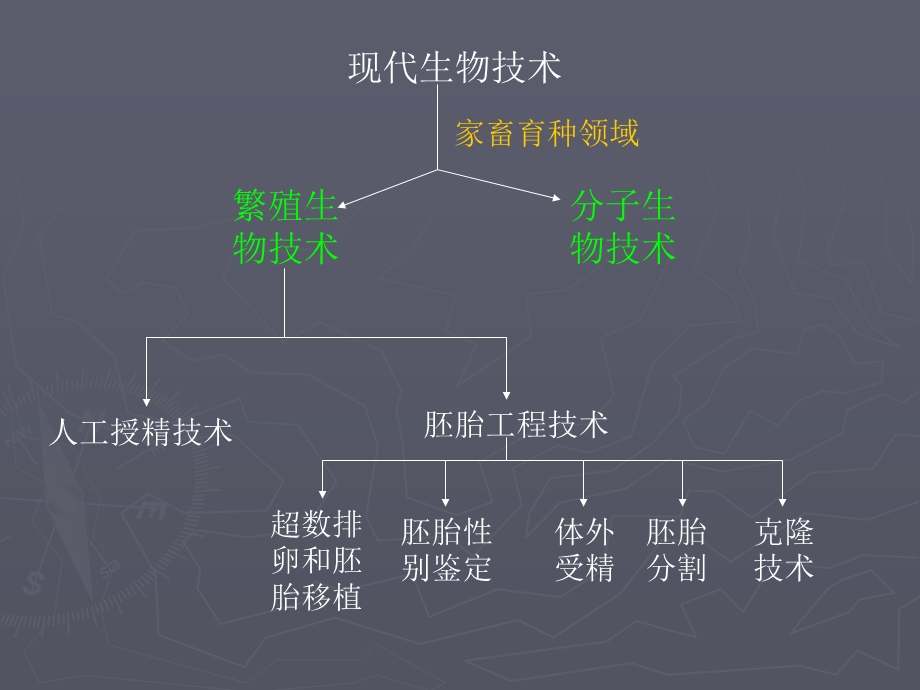 第五章-动物胚胎移植技术及体外受精-课件.ppt_第2页