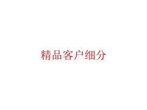 精品客户细分课件.pptx